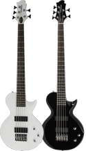Monterey Bass 5 X