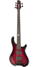 Tony Campos Tremor 5 Deluxe