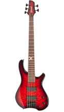 Tony Campos Tremor 5 X